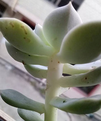 ֪������ʲô��ô��������[ej=1f62