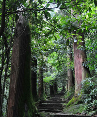 避暑胜地——临安西天目忆景农家