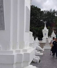 �й�������̩�������Ļ�ɴ�� �����������