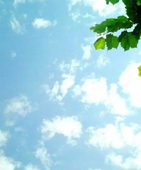 小暑至,盛夏始,要怎么造~才能滋润清新一整夏!