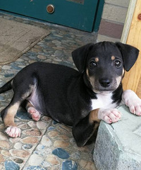 ��ô����С�������С��