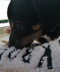 ��ô����С�������С��