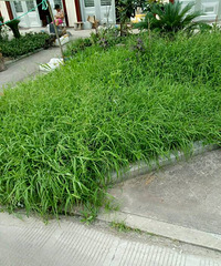 �峤˵Ҫ�̻��������߲�