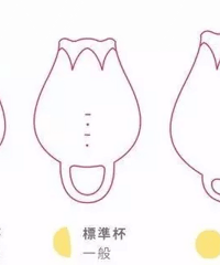 什么是月经杯?哪些人不适合用?使用前你该知道的事