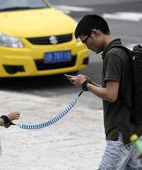 Ϊ��������ʧ ���ס������Ŷ�������