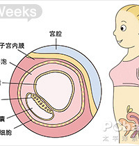 "怀孕2周有什么症状 孕早期注意点多多"