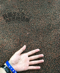 ��һ���� ��һ������