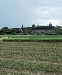 ��һ���� ��һ������