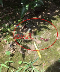 7���к�6¥׹��������Ҫд�ı���ҵ