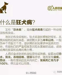 "男子与自家狗玩耍被抓出血 一年后狂犬病发"