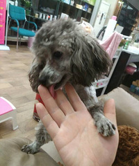 �ҹ��ҹ�����