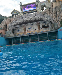 ��������棬����