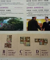 ·�ź����� Ͷ����ر���5%