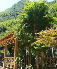 杭州有个最美县城叫桐庐,桐庐有个地方叫白