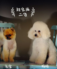 ��˿��ʺ��¼