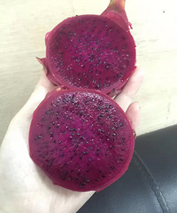 "儿童版火龙果"
