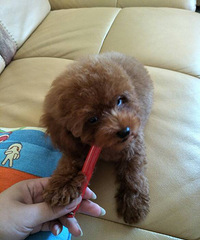 �����ó���