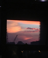 美