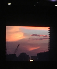 美