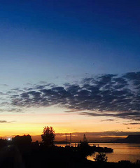 【活动】夕阳无限好!随拍晒夕阳咯!