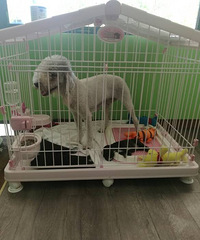 ��ʺ��¼����������ϸ�Ů̫��ô����