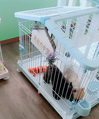 ��ʺ��¼����������ϸ�Ů̫��ô����