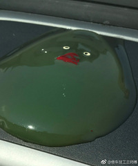 ���ǲ�Ҫ�ѳ�ֱ��ͣ��̫�����¡� ????