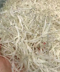银鱼丝