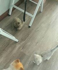 ��  ��˿��ʺ��¼