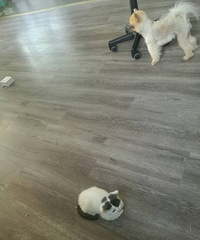 ��  ��˿��ʺ��¼