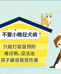 打 4 针疫苗仍然身亡!狗咬伤后如何正确急救?