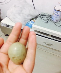 �óԵ��������Ӿ�Ȼһ�������˰˸�