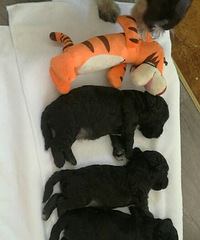 ��˿��ʺ��¼