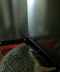 ��˿��ʺ��¼