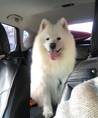 Ѱ��ĦҮ���ؽ��л