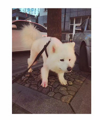 Ѱ��ĦҮ���ؽ��л