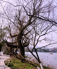 求地陪导游