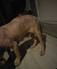 ˭�ҵĹ����ˣ��Ͻ�����������ֻ�ǲ������