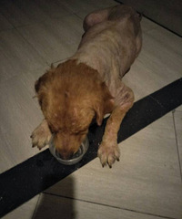 ˭�ҵĹ����ˣ��Ͻ�����������ֻ�ǲ������