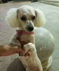 �����췢��Ѱ��������