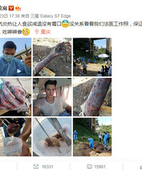 工作照吓坏网友