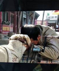忠爱无言