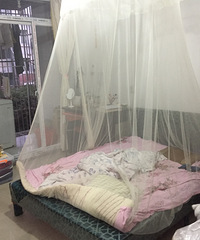 望月公寓桂花苑带阳台洗衣机独立卫生间出租