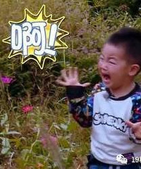 高能,自制零成本捕蟑螂神器!可乐瓶白糖