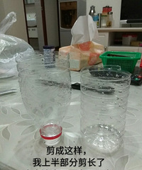 高能,自制零成本捕蟑螂神器!可乐瓶白糖