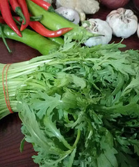 茼蒿菜,你吃过么?