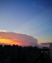 愿得一人心 白首不分离