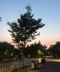 。