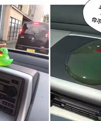 41℃!杭州不和40℃以下城市的人交朋友,不熟!