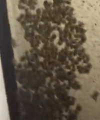 �·�ӿ��������ֻ�۷� �ܼ��־�֢���룡